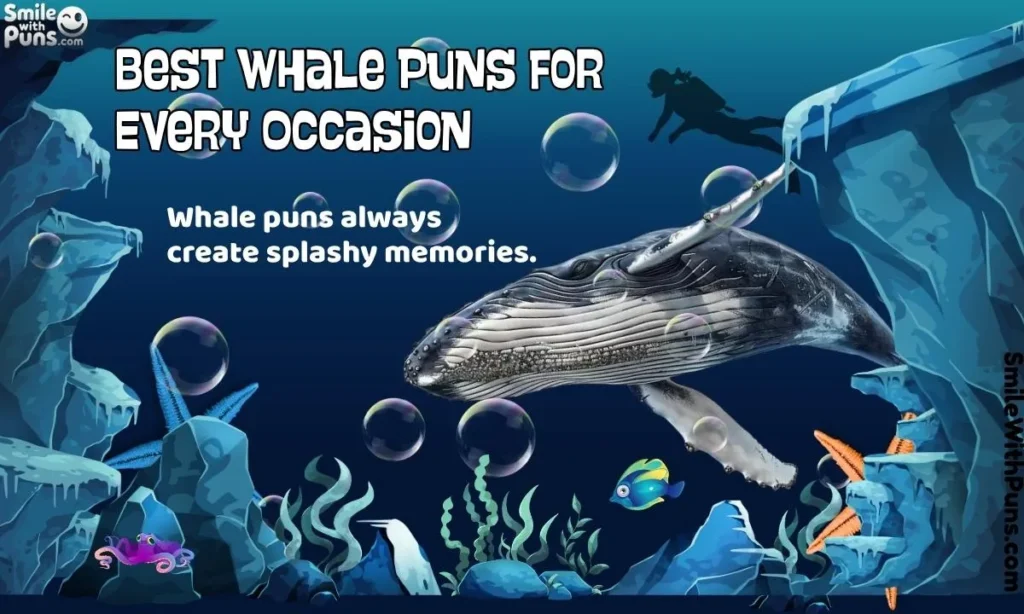 Best Whale Puns for Every Occasion