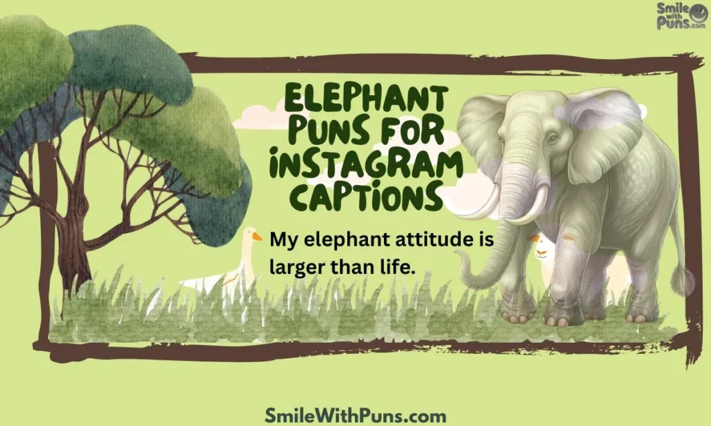 Elephant Puns for Instagram Captions