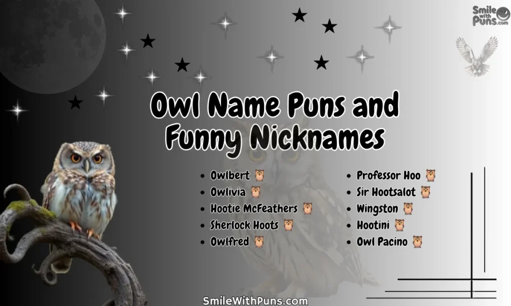 Owl Name Puns and Funny Nicknames